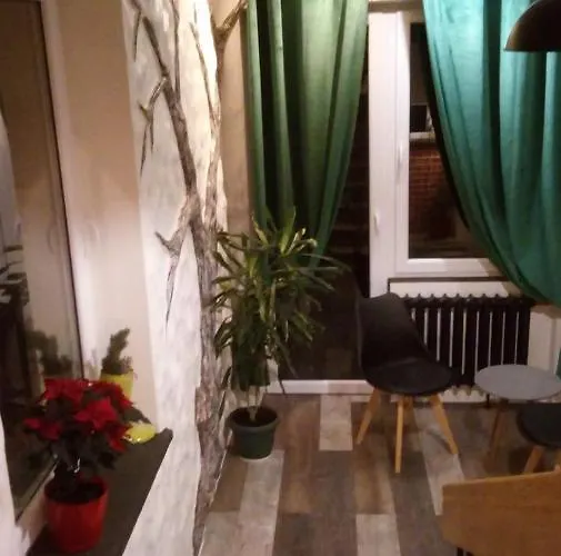 5 Krokow B&B 자코파네