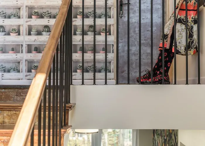 5 Krokow * 자코파네